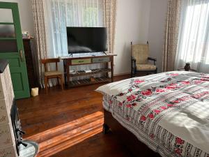 a bedroom with a bed and a flat screen tv at La Nea Traian in Vama Buzăului