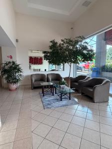 a living room with couches and a tree in it at Plaza Inn Express in Tapachula +22 photos