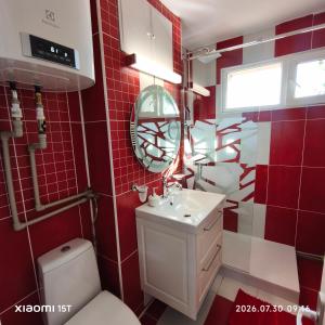 a red bathroom with a toilet and a sink at Apartament -BeaSarah-Orsova in Orşova +6 photos