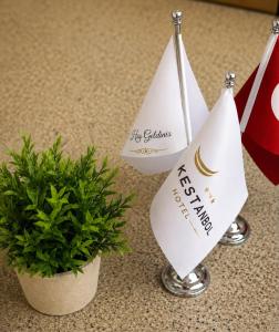 two white flags and a potted plant on a counter at Kestanbol Hotel in Çanakkale
