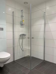 a bathroom with a glass shower with a toilet at Bryggebyen in Arendal +17 photos