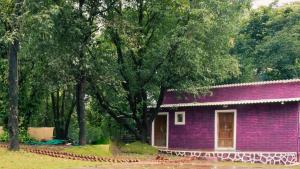a purple house with trees in front of it at Jambhul Nest studio Pool & Rainforest Escape in Dhamni