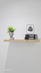 a shelf with a plant and books on it at HMT Guest House in Thohoyandou