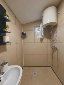a bathroom with a sink and a shower stall at Water Lily Dock Prevlaka in Prevlaka +17 photos