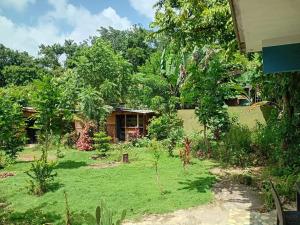 a garden in front of a house at Island Breeze in Negril +16 photos