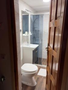 a bathroom with a toilet and a sink and a shower at Brvnara Nenadić in Užice