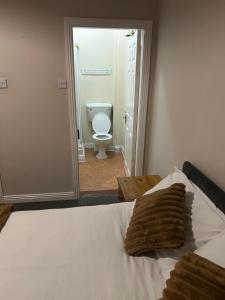 a bedroom with a bed and a toilet in a room at The pillar in Wexford