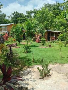 a garden with a house in the background at Mystic Moment in Negril +19 photos