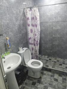 a bathroom with a white toilet and a sink at Zvartnoc siti star in Pʼarakʼar +12 photos
