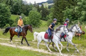 a group of people riding horses on a trail at Reitpark Gstöttner in Schönau im Mühlkreis +8 photos