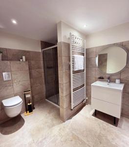 a bathroom with a toilet and a sink and a mirror at L'écrin d'Hélène in Lormes +12 photos