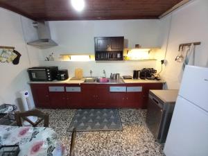 a small kitchen with a counter and a refrigerator at Belvedere di Van D'oro 1886 in Peroulades +11 photos