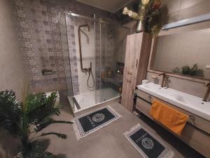 a bathroom with a shower and a sink at L'Appartement La Roche Élégance et confort in Banzart +15 photos
