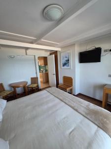 a bedroom with a large bed and a flat screen tv at Hotel Nilahue in Viña del Mar