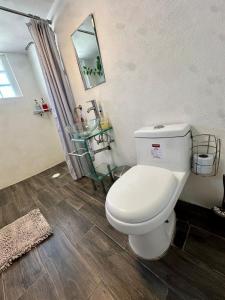 a bathroom with a white toilet and a mirror at Beautiful Loft 10 minutes from AIFA in San Pedro Atzompa +37 photos
