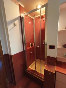a shower with a glass door in a bathroom at Appartamento in villa con vista Monviso in Piossasco +42 photos