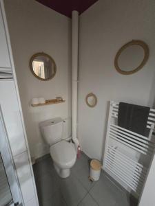 a bathroom with a white toilet and a mirror at Le Club Philibert in Auxerre