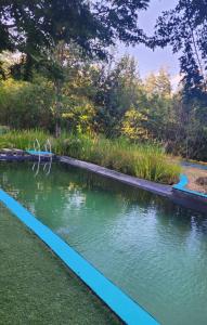 a pool of water with a statue in the middle at Domos y Cabañas Antu Mahuida in Melipeuco