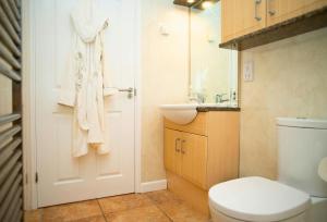 a bathroom with a toilet and a sink at Ger Y Llanw Aberaeron in Aberaeron +17 photos