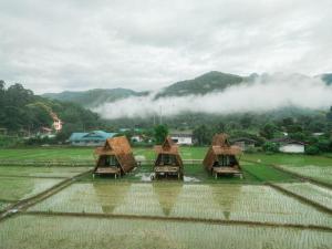 a group of houses in a rice field in the rain at Khao Kiang Na เขา เคียง นา in Ban Muang Kut +8 photos