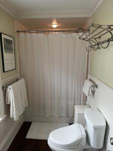 a bathroom with a white toilet and a shower at Riverview Organic Bed & Breakfast and Wellness Center in Piermont