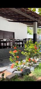 a group of flowers in pots on a patio at Capitolio 02 in Canoa Quebrada