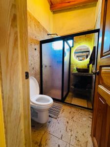 a bathroom with a toilet and a glass door at Cabaña el roble, Mazamitla Jalisco in Mazamitla