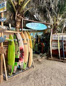 a bunch of surfboards on display on a beach at Oceanfront, AC and Parking, La Punta in Paso Hondo