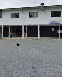 a black cat sitting in front of a building at Refugio raices in Guarne