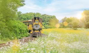 a train on the tracks in a field of flowers at Ecoland Hotel in Jeju