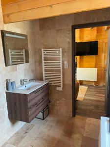 a bathroom with a sink and a large mirror at Petit Chalet Cosy - Saint-Dié-des-Vosges T2 in Saint-Léonard +7 photos