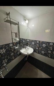 a bathroom with a sink and a mirror at Cocogreen Hampi in Hampi