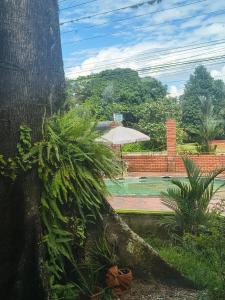 a view of a patio with an umbrella and plants at Hotel Mar Azul in Acacías +4 photos