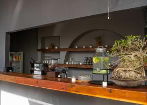 a counter with a potted plant on top of it at Iron Wave Uluwatu in Bingin Beach
