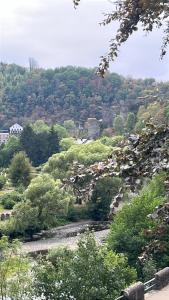 a group of rocks and trees on a hill at LaVue - Forest Twin Rooms in La-Roche-en-Ardenne