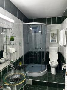a bathroom with a shower and a toilet and a sink at Casa Corvin View in Hunedoara