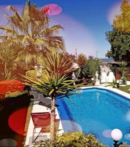 a swimming pool with a palm tree next to a house at MONTPELLIER SUD-GIUSEPPINA suite junior 2 pers-Piscine privé aéroport Arena 2mn mer in Pérols