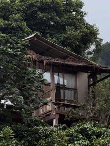 a house in the middle of some trees at Chi Bo ดอยช้าง in Ban Huai Khai