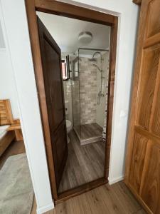 a bathroom with a shower and a glass door at Hanul Ursilor in Chişcău