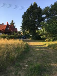 a field of grass next to a house at Ku Wiśle 