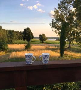 two coffee mugs sitting on a fence looking at a field at Ku Wiśle 