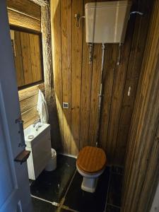 a wooden bathroom with a toilet and a sink at EinBaumHaus Kärnten in Ludmannsdorf