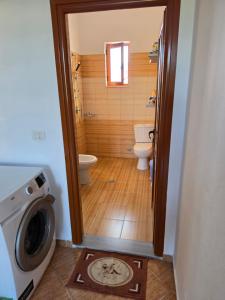 a bathroom with a toilet and a washing machine at Villa Greku in Dushnik