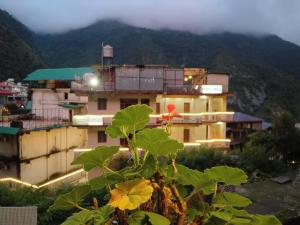a building with a plant in front of it at Sandeep homestay in Dharamshala