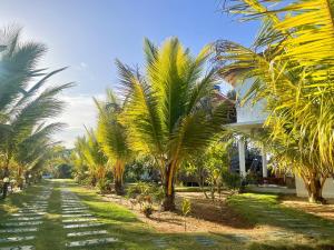 a row of palm trees on a dirt road at Whisky Point Surf Cabanas in Ampara