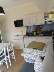 a living room with a couch and a table at Domki Pod Szyszką 500m od morza in Rowy