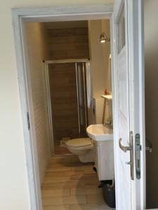 a bathroom with a shower and a toilet and a sink at Domki Pod Szyszką 500m od morza in Rowy