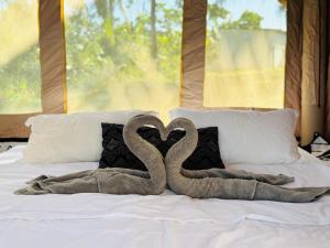 two towel swans making a heart on a bed at Luxary Tent in Kudat