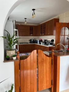 a kitchen with wooden cabinets and a counter top at Pensiunea Lavinia Daniel in Borşa