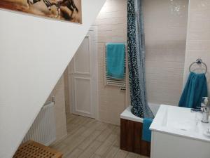 a bathroom with a shower and a sink and a tub at Maison Marcadieu in Maubourguet